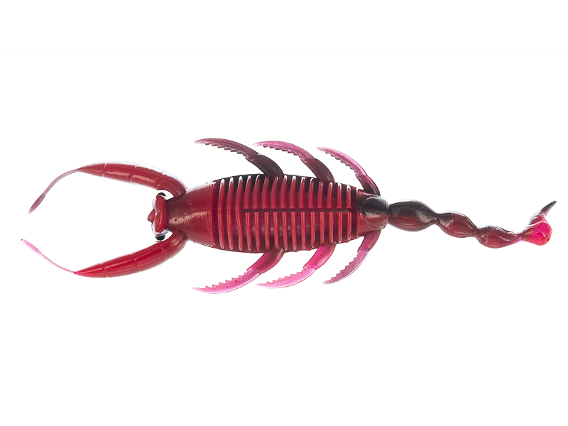 MOLIX SC BUG 4 BLOODY PUMPKIN BELLY.jpg Molix SC Bug 4 Inch lure